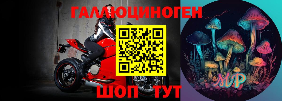Псилоцибиновые грибы MAGIC MUSHROOMS  Вход с VPN  Кострома 